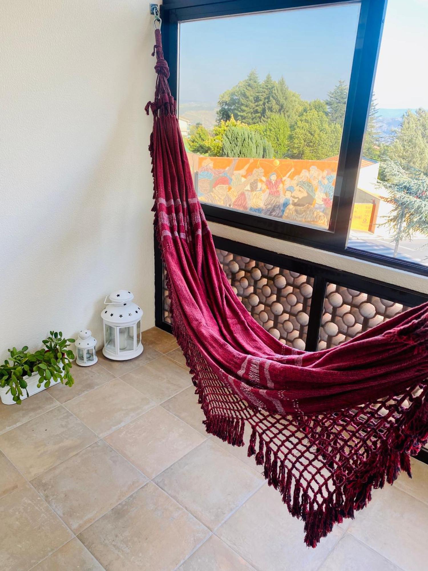 Casa Da Tia Irene Apartment Sabrosa Luaran gambar